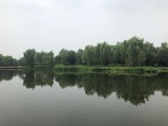 -东郊湿地公园