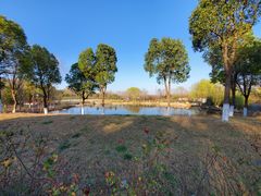 -习家池