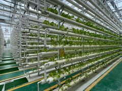 -兰陵国家农业公园