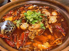 鲜嫩牛蛙砂锅-马头巷·食景园(苏州总店)