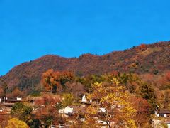 -塔川景区