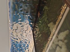 -怀德酒楼·粤菜·海鲜·茶点(宝安国际机场店)