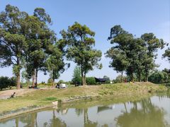 -两河城市森林公园