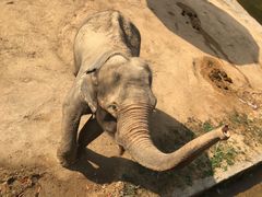 -东伊顺(高银街店)