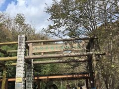 -牛背梁国家森林公园