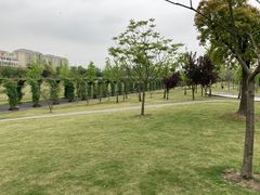 -广富林郊野公园