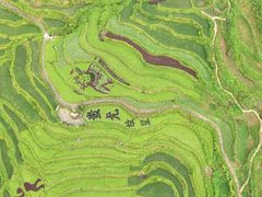 -紫鹊界梯田景区