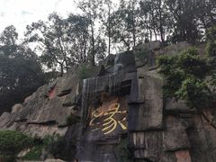 -三水森林公园