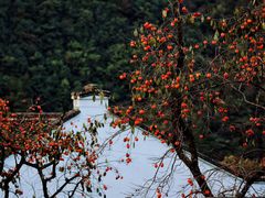 -丹山赤水风景名胜区