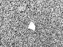 -苏州河梦清园环保主题公园