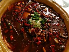 -普天和酒楼·新津菜·烤鸭(天津之眼店)