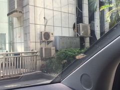 -莲花体育中心