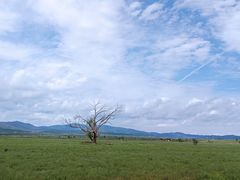 -敕勒川草原
