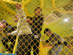 -宝燕乐园(闵行旗舰店)