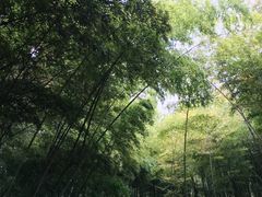 景点-金沙遗址博物馆