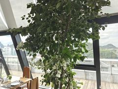 -四月吧餐厅(正阳步行街店)