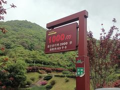 -桃花岭景区