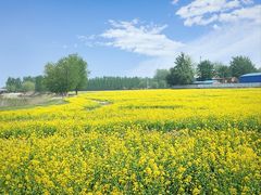 -天津武清北运河郊野公园房车露营地
