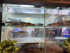 -鱼酷活鱼烤鱼(南京水游城店)