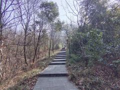 -句容茅山景区