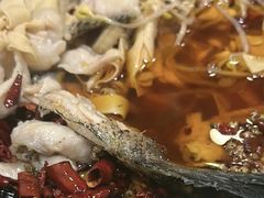 -金三可市井水煮鱼(金碧园店)