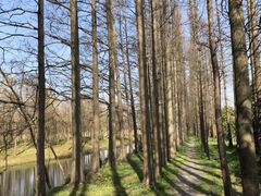 -上海长兴岛郊野公园