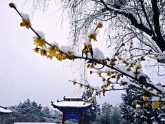 -终南山古楼观历史文化景区