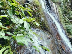 -藏龙百瀑风景区