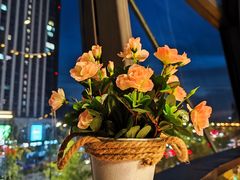-西堤牛排(杭州金沙天街龙湖店)