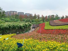 -天府芙蓉园