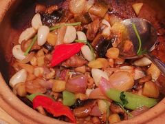 -香港狮子山下·明星粤菜餐厅(北苑店)