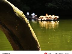 -新安江山水画廊风景区