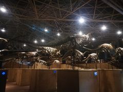 -世界恐龙谷景区