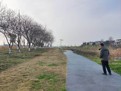 -两河城市森林公园