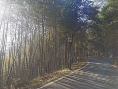 -潜山国家森林公园