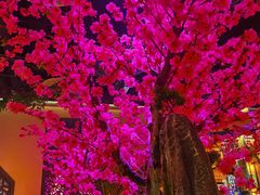 -今朝桃花醉川菜小酒馆(龙湖天街店)