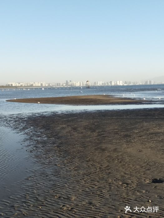 鸽子窝公园图片