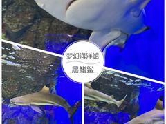 -杭州野生动物世界
