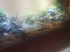 -杭州香格里拉·香宫中餐厅