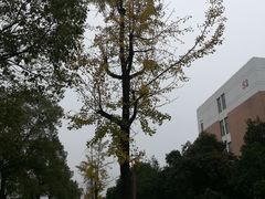 -江西科技学院