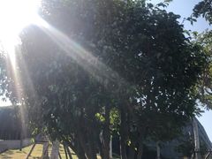 -五通灯塔公园