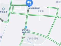 -张醪糟