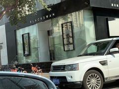 -BLACKSWAN黑天鹅(环球店)