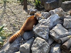 -常州淹城野生动物世界