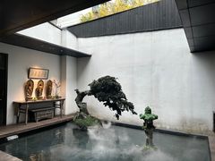 -觀芷隐轩