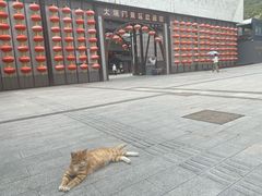 -大境门景区