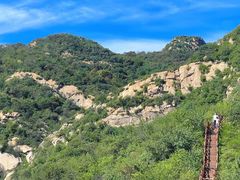 -大岭沟猕猴桃谷风景区