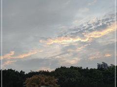 -南沙蒲洲花园