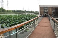 iphone_upload_pic-忆江南婚礼策划(姑苏店)