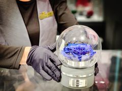 -ROSEONLY诺誓(国际广场购物中心店)